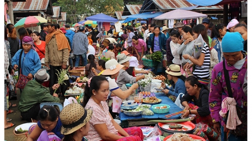 กาดเต่า
