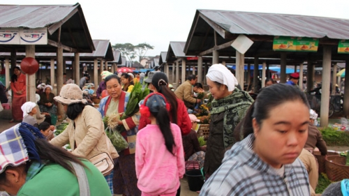 กาดเต่า