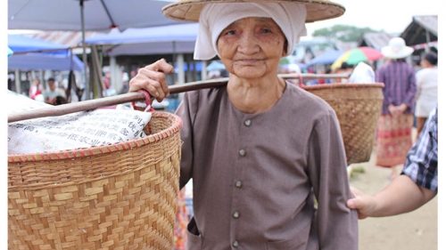 กาดเต่า