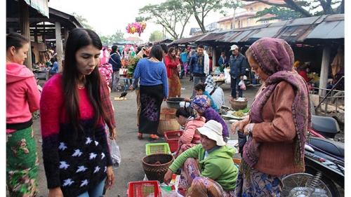 กาดเต่า