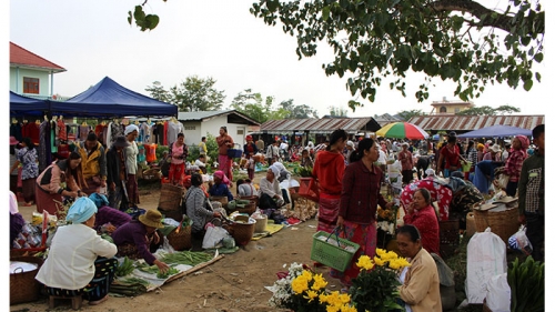 กาดเต่า