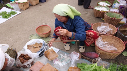 กาดเต่า