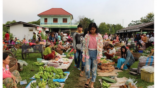 กาดเต่า