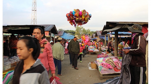 กาดเต่า
