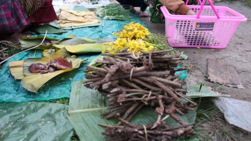 กาดเต่า