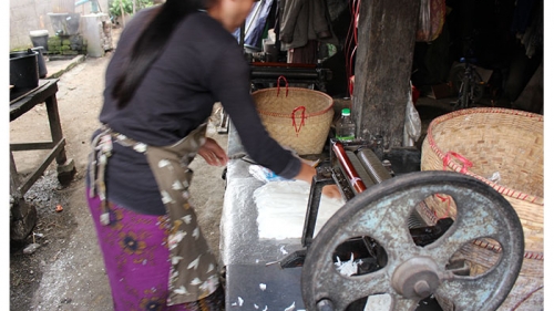 กาดเต่า