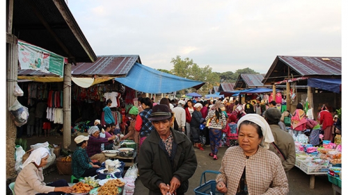 กาดเต่า