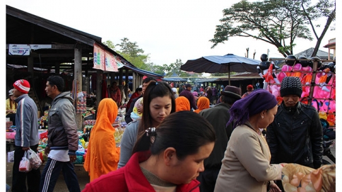 กาดเต่า