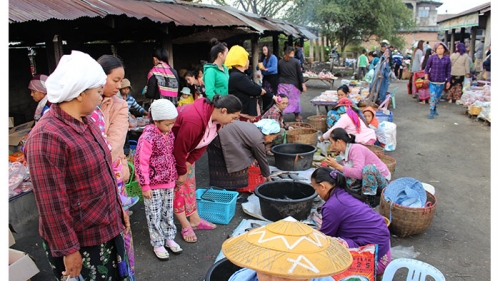 กาดเต่า